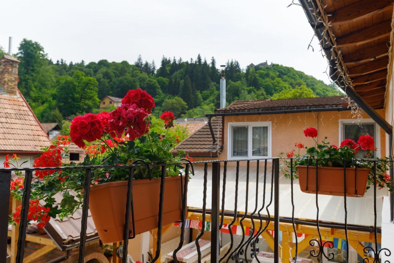 Casa Dacica Maison d'hôtes 3*